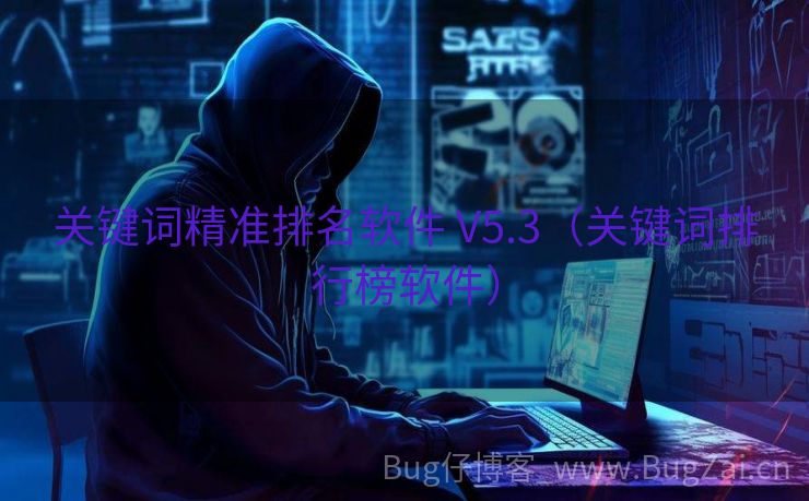 关键词精准排名软件 V5.3（关键词排行榜软件）